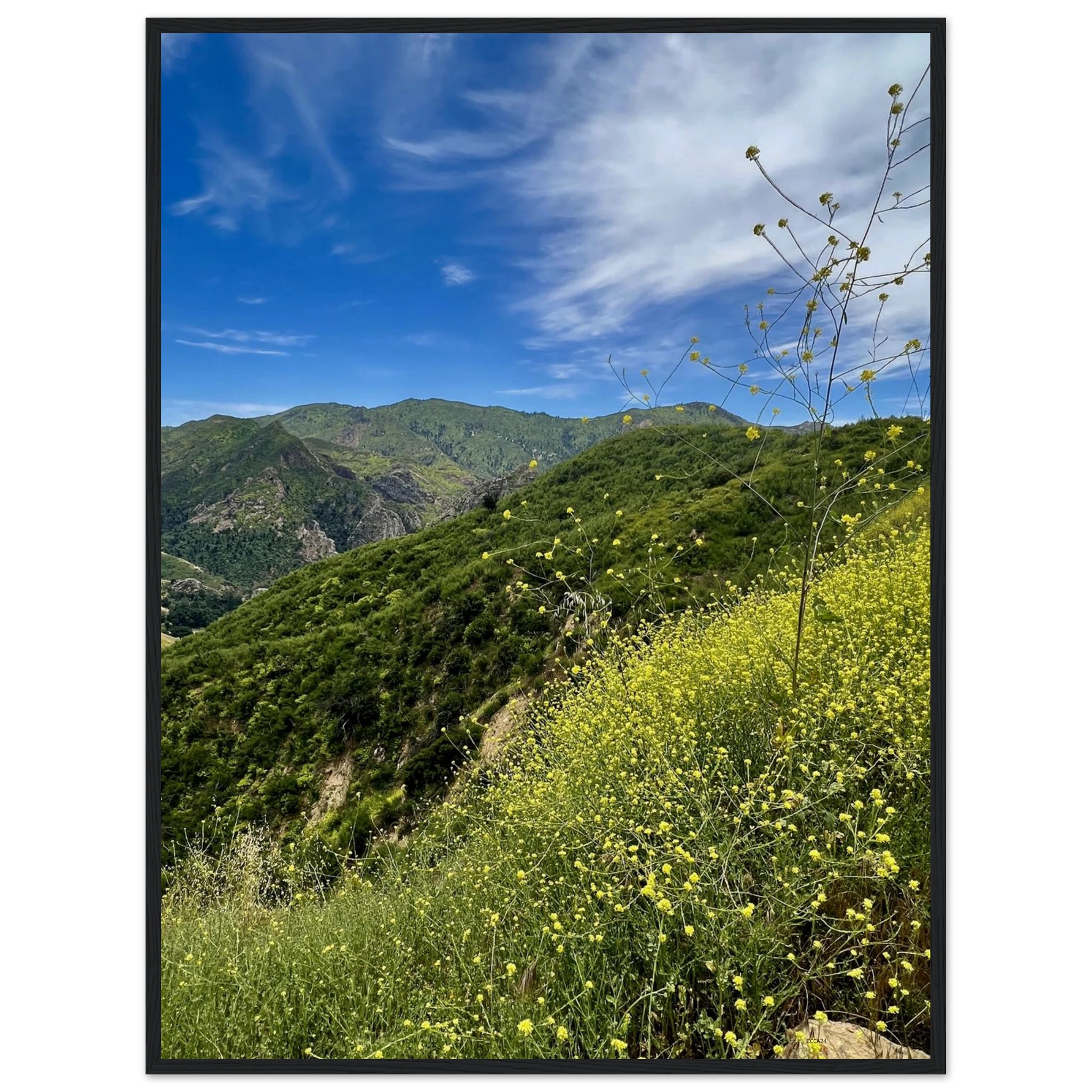 Malibu Canyon Wildflowers wooden framed poster on museum-quality matte paper wall art, featuring California poster art in studio edition style.