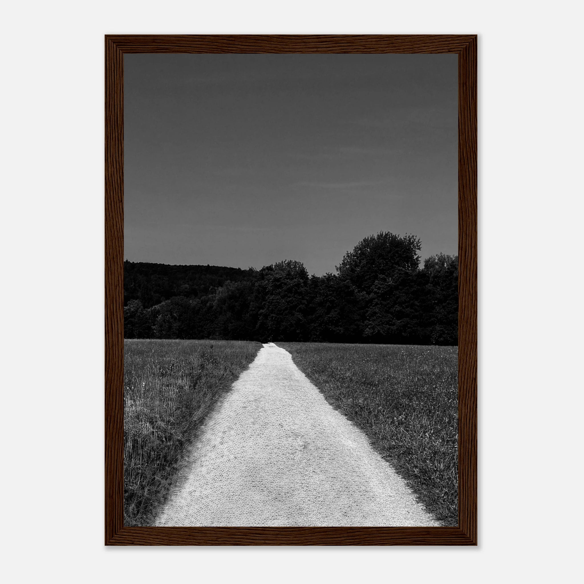 Black and white framed poster of a summer road scene from the Travel Collection, printed on semi-glossy paper, Studio Edition.