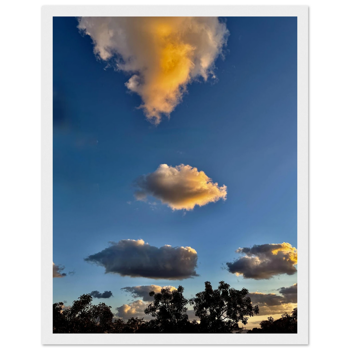 a4461fd7-4eb3-49b9-984b-f9ac52292197