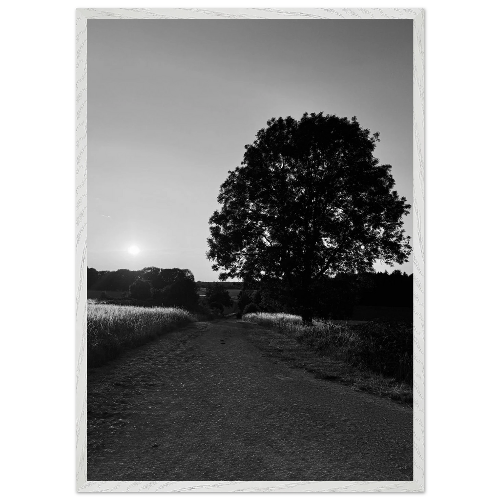Mounted wooden framed black and white print of summer in the English Cotswolds countryside from the Travel Collection.