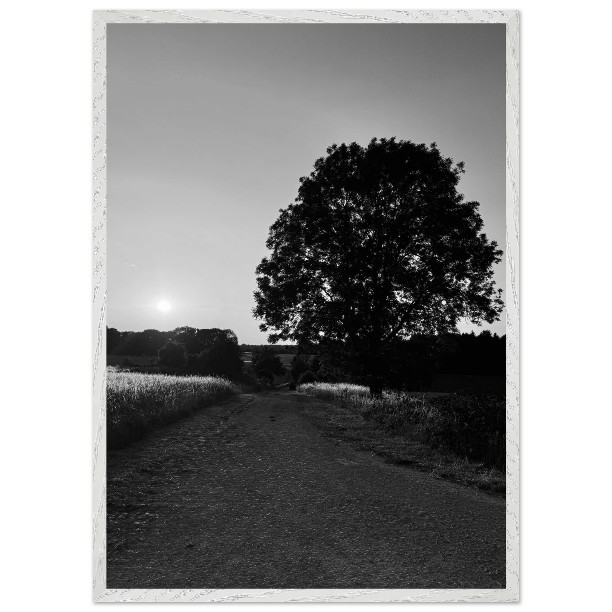 Mounted wooden framed black and white print of summer in the English Cotswolds countryside from the Travel Collection.