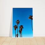 Semi-glossy framed poster of Santa Barbara Palm Tree Magic by CaliCuration, California-themed home decor art, spring 2026 studio edition.