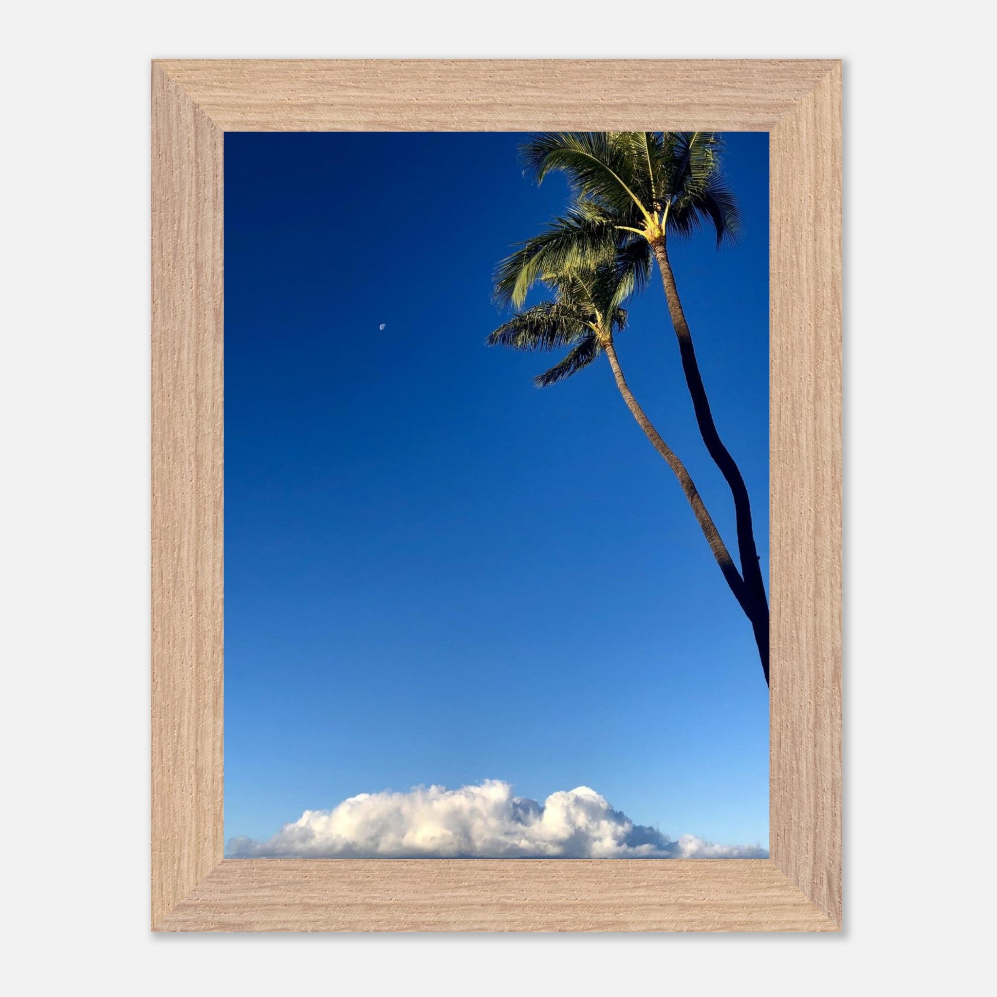 a5a5558c-9dc4-485a-948d-5494aaccdfd0