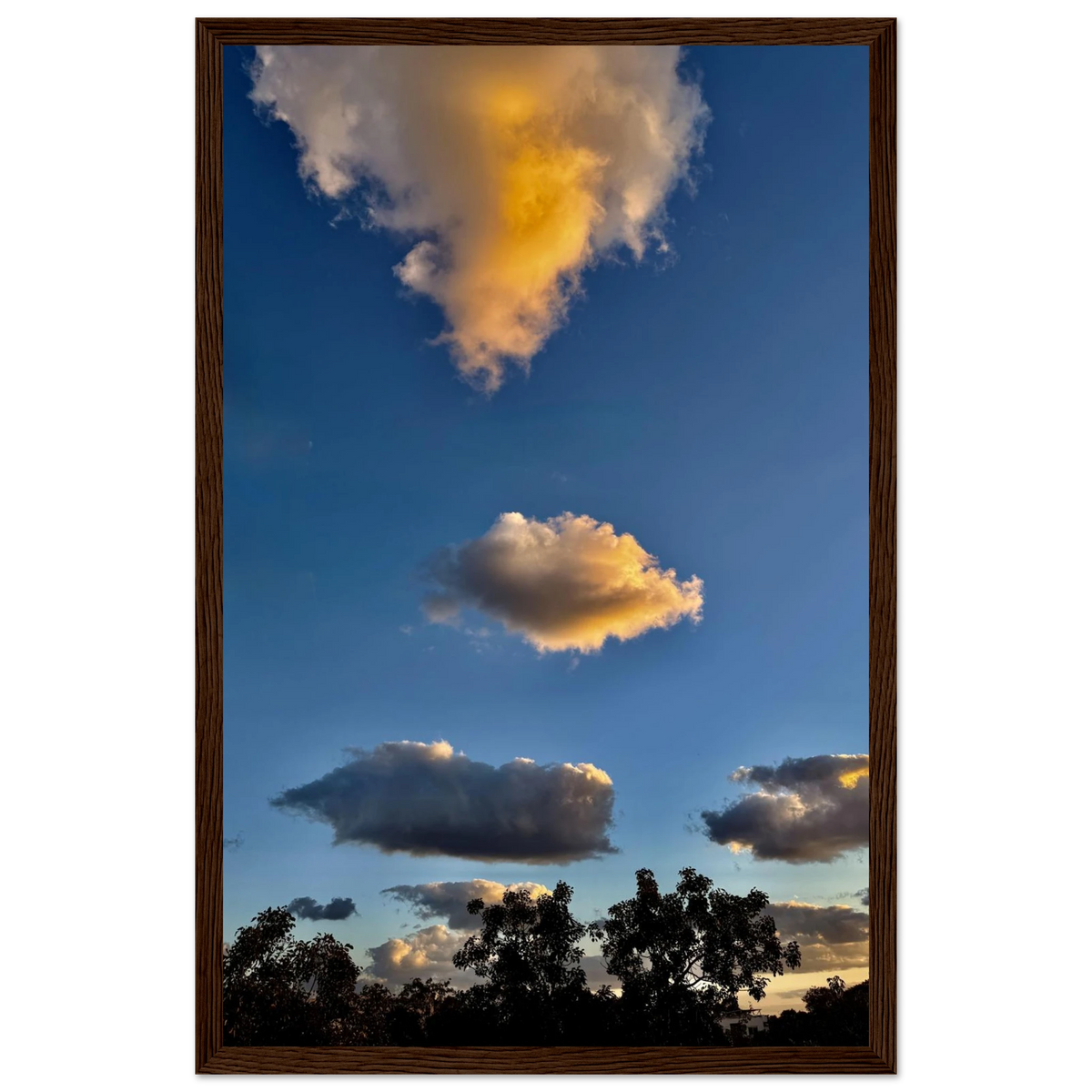 a70631f9-f318-46af-9662-299e99e801f0
