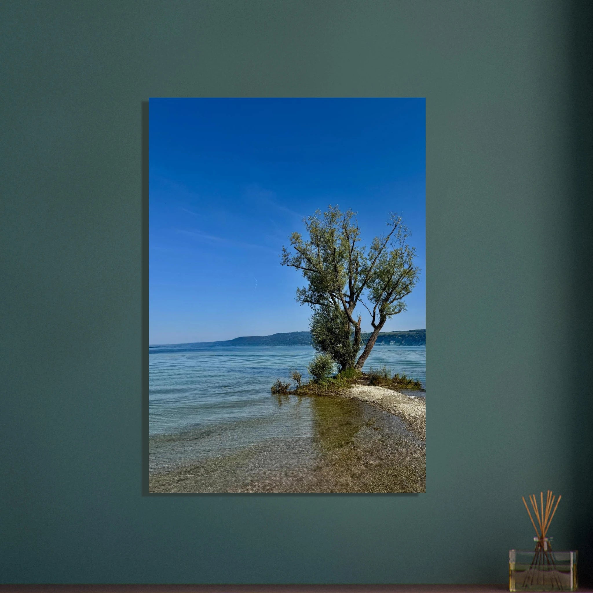 Aluminum print of a majestic tree on a European lake, nature-inspired wall art from the Travel Collection, Studio Edition.