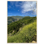 Malibu Canyon Wildflowers print by My Store, wooden framed poster on museum-quality matte paper wall art featuring California wildflower scene.