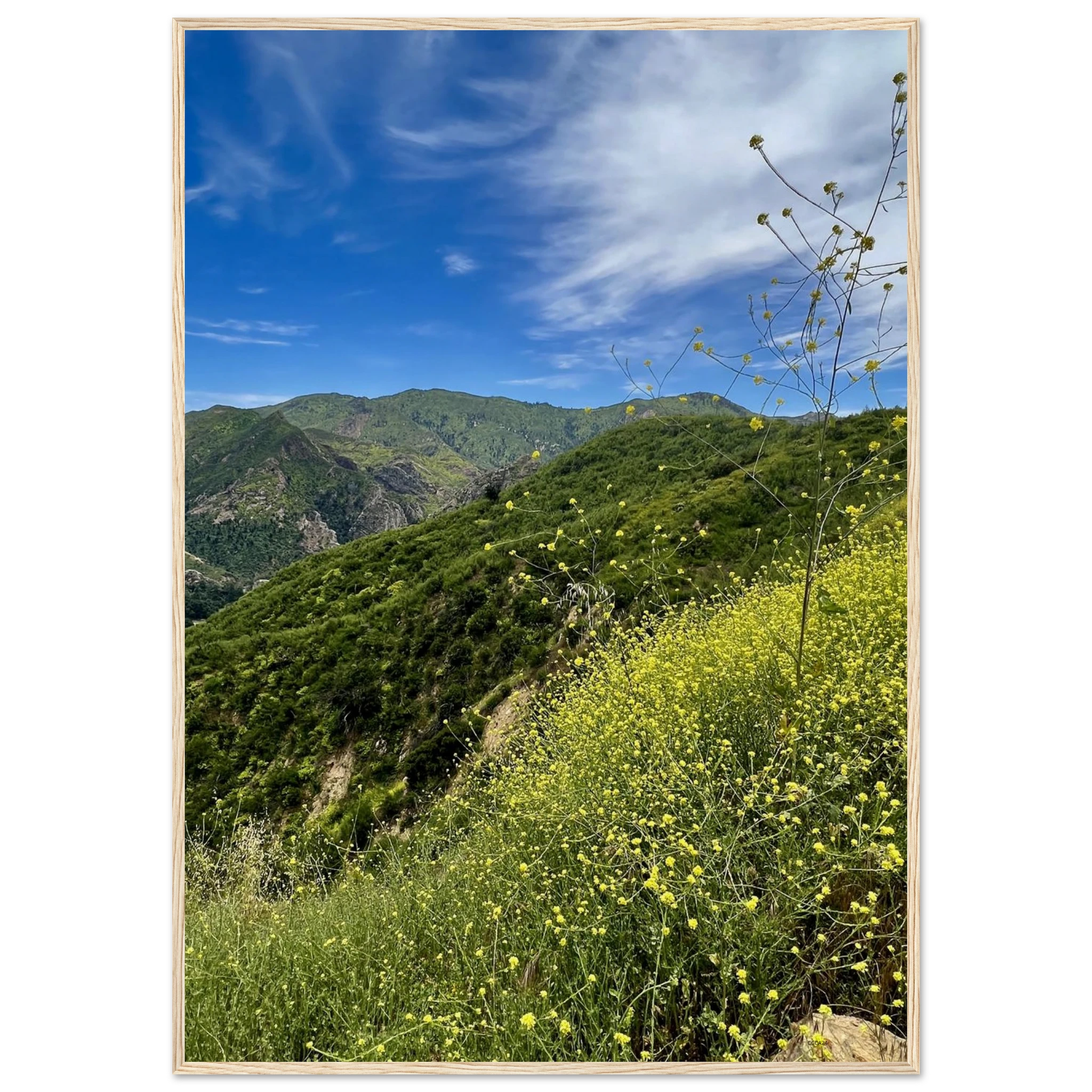 Malibu Canyon Wildflowers print by My Store, wooden framed poster on museum-quality matte paper wall art featuring California wildflower scene.