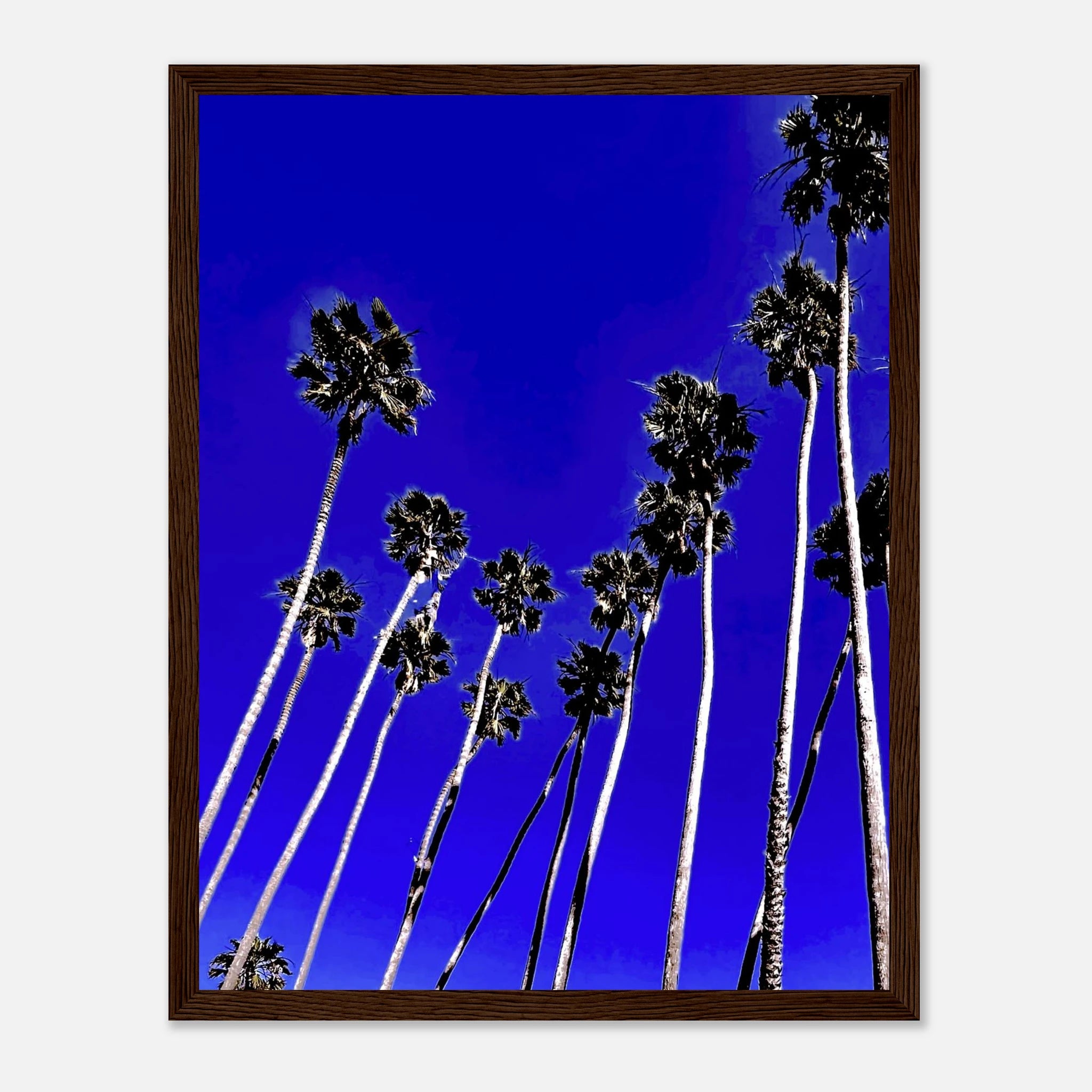 a9963db6-ac06-493c-9263-ac53577c867e