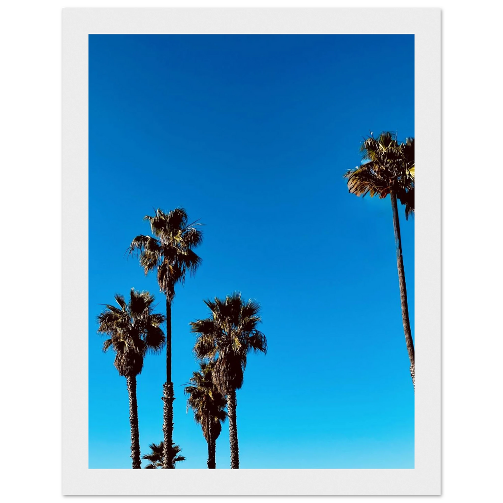 Semi-glossy wooden framed poster of Santa Barbara Palm Tree Magic by CaliCuration, California home decor art for spring 2026.