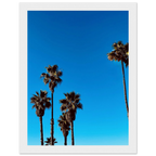 Semi-glossy wooden framed poster of Santa Barbara Palm Tree Magic by CaliCuration, California home decor art for spring 2026.