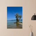 Majestic tree on a European lake aluminum print, nature-inspired wall art from the Travel Collection, Studio Edition.