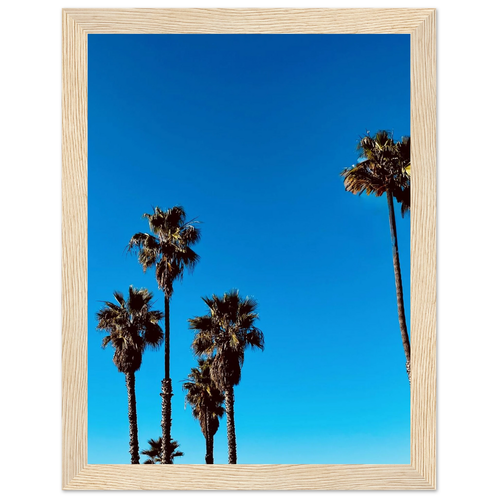Wooden framed Santa Barbara Palm Tree poster by CaliCuration, California home decor art on semi-glossy paper, spring 2026 studio edition.