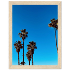 Wooden framed Santa Barbara Palm Tree poster by CaliCuration, California home decor art on semi-glossy paper, spring 2026 studio edition.