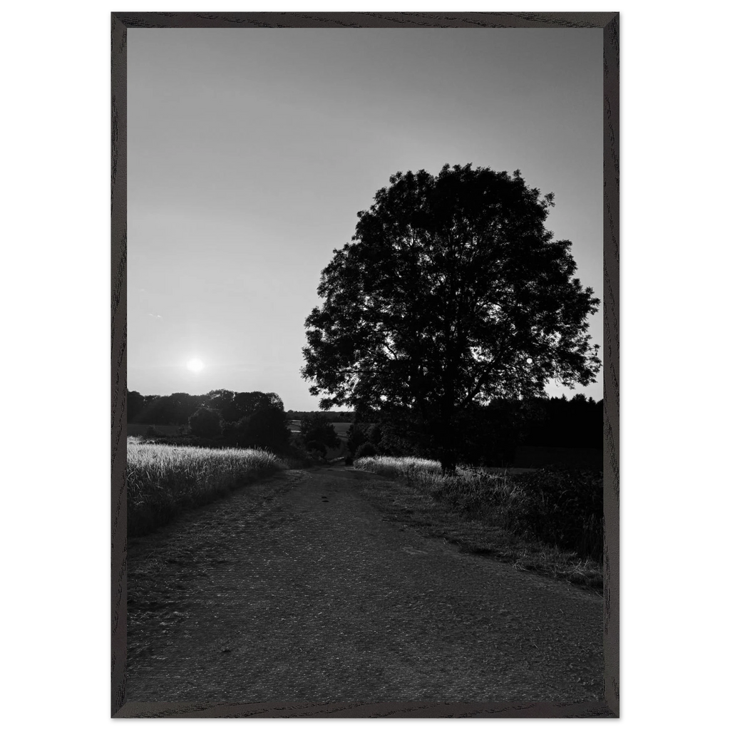 Mounted wooden framed poster of a black and white summer scene in the English Cotswolds, part of the Studio Edition travel print collection.