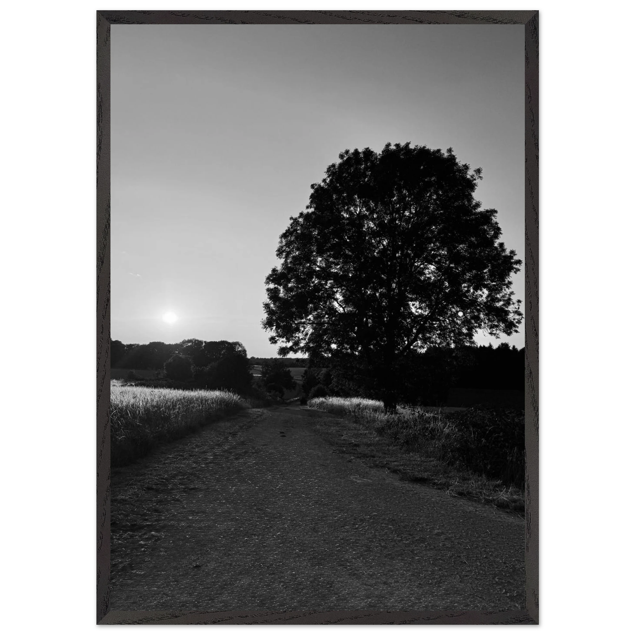 Mounted wooden framed poster of a black and white summer scene in the English Cotswolds, part of the Studio Edition travel print collection.