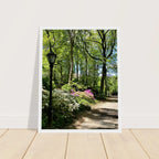 Framed art print of Central Park walkway on premium matte paper, wooden frame, part of the Studio Edition travel collection.