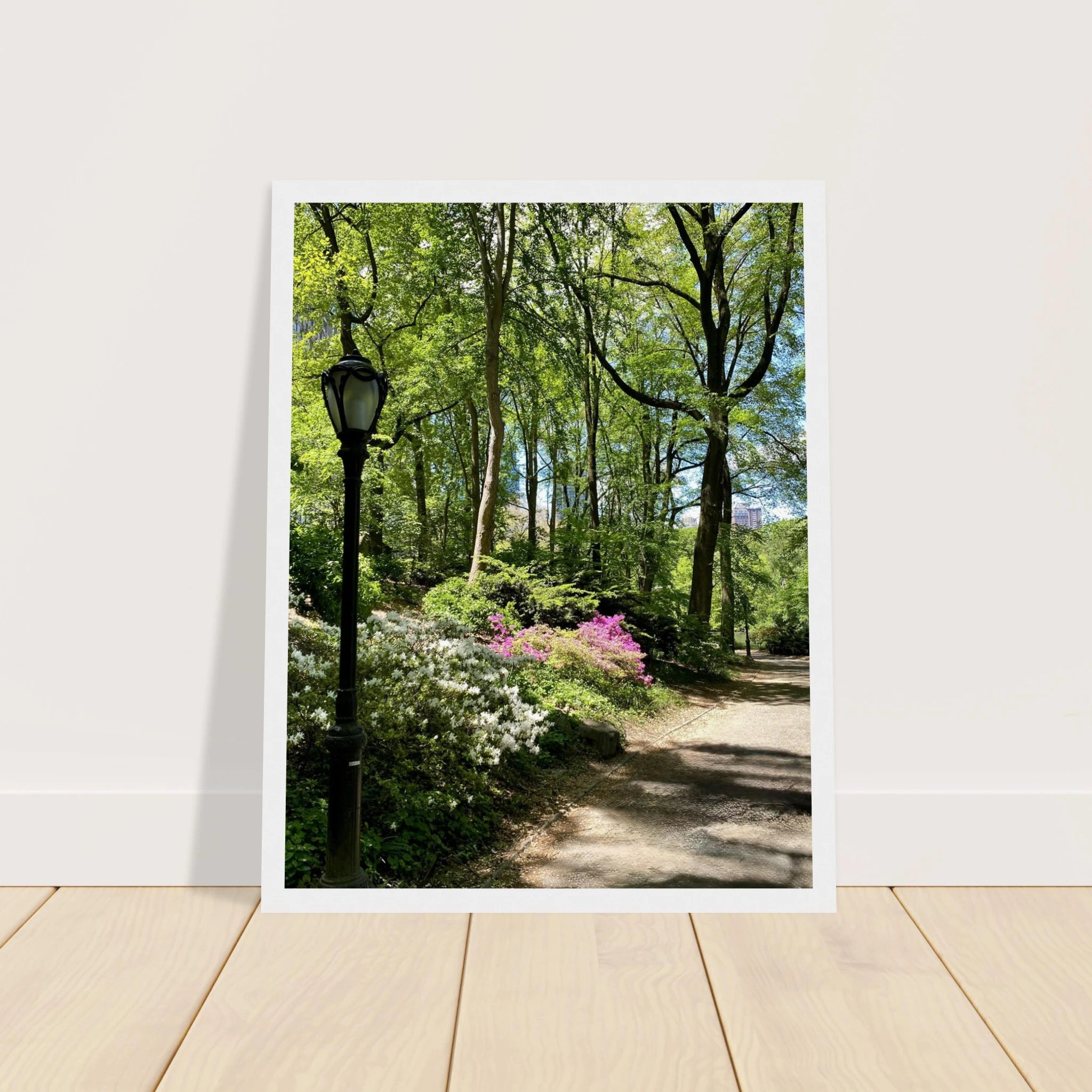 Central Park walkway framed art print on premium matte paper with wooden frame, part of the Travel Collection Studio Edition.