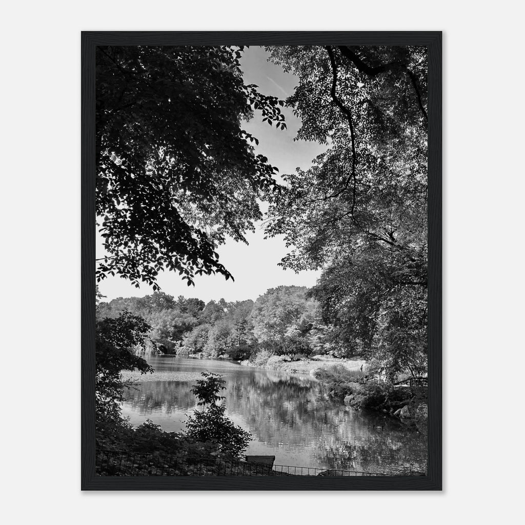 Black and white framed print of a summer lake scene from Upstate NY, part of the Studio Edition Travel Collection.