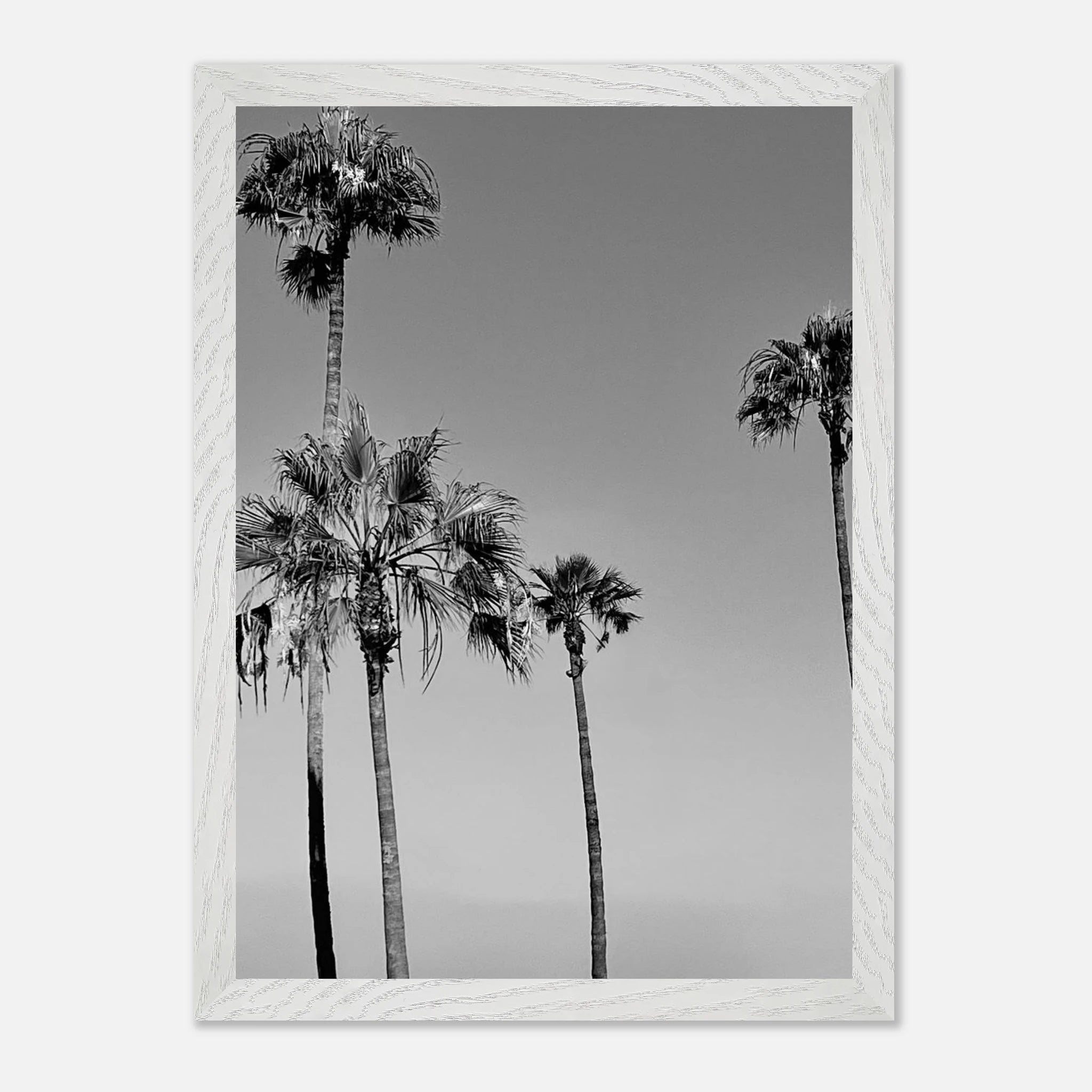Premium wooden framed black and white California beach icons poster art in semi-gloss finish from Studio Edition.