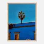 Oaxaca streets with palm trees in blue framed canvas artwork, travel collection print by CaliCuration, spring 2026 edition.