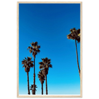 California Santa Barbara Palm Tree poster by CaliCuration, framed wooden decor art print, semi-glossy paper, spring 2026 studio edition