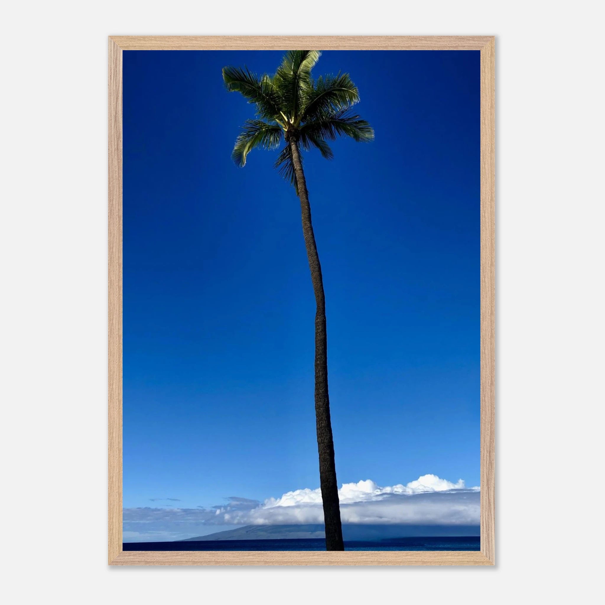 Framed Maui palm tree print from CaliCuration's Hawaii Majestic Palm Tree travel collection, showcasing lush tropical foliage.