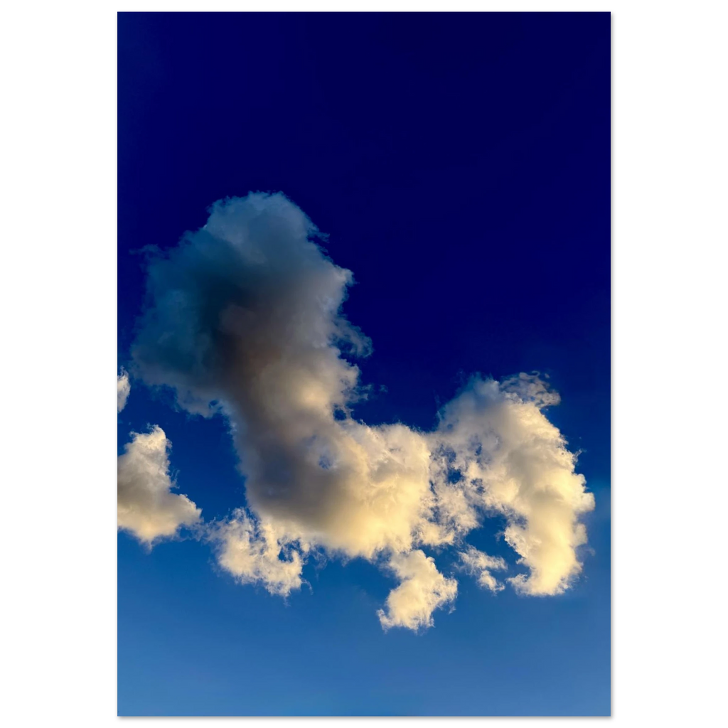b5c43897-a913-4386-93e8-32286e3272e7