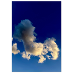 b5c43897-a913-4386-93e8-32286e3272e7