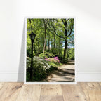 Central Park walkway framed art print on premium matte paper with wooden frame, part of the Studio Edition travel collection.