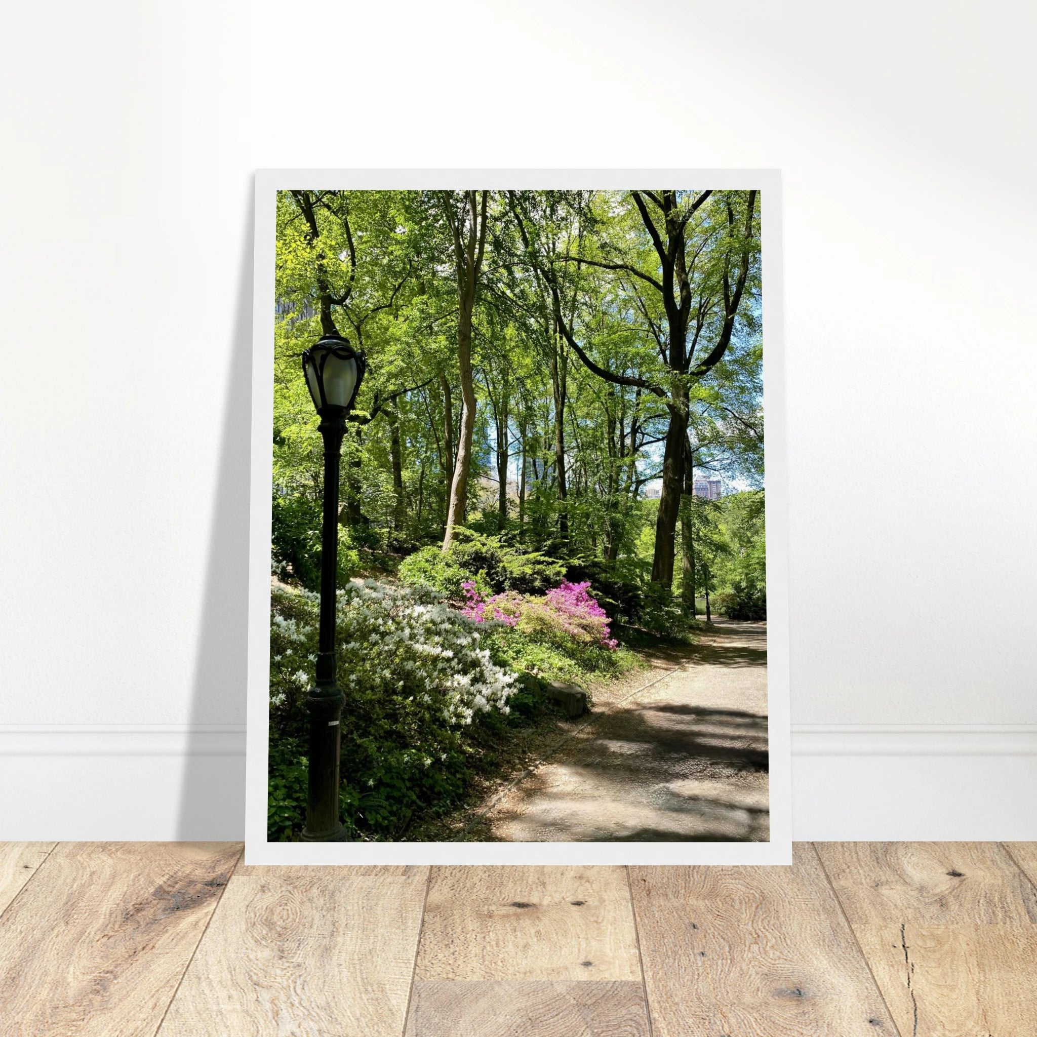 Central Park walkway framed art print on premium matte paper with a wooden frame, part of the Studio Edition travel collection.