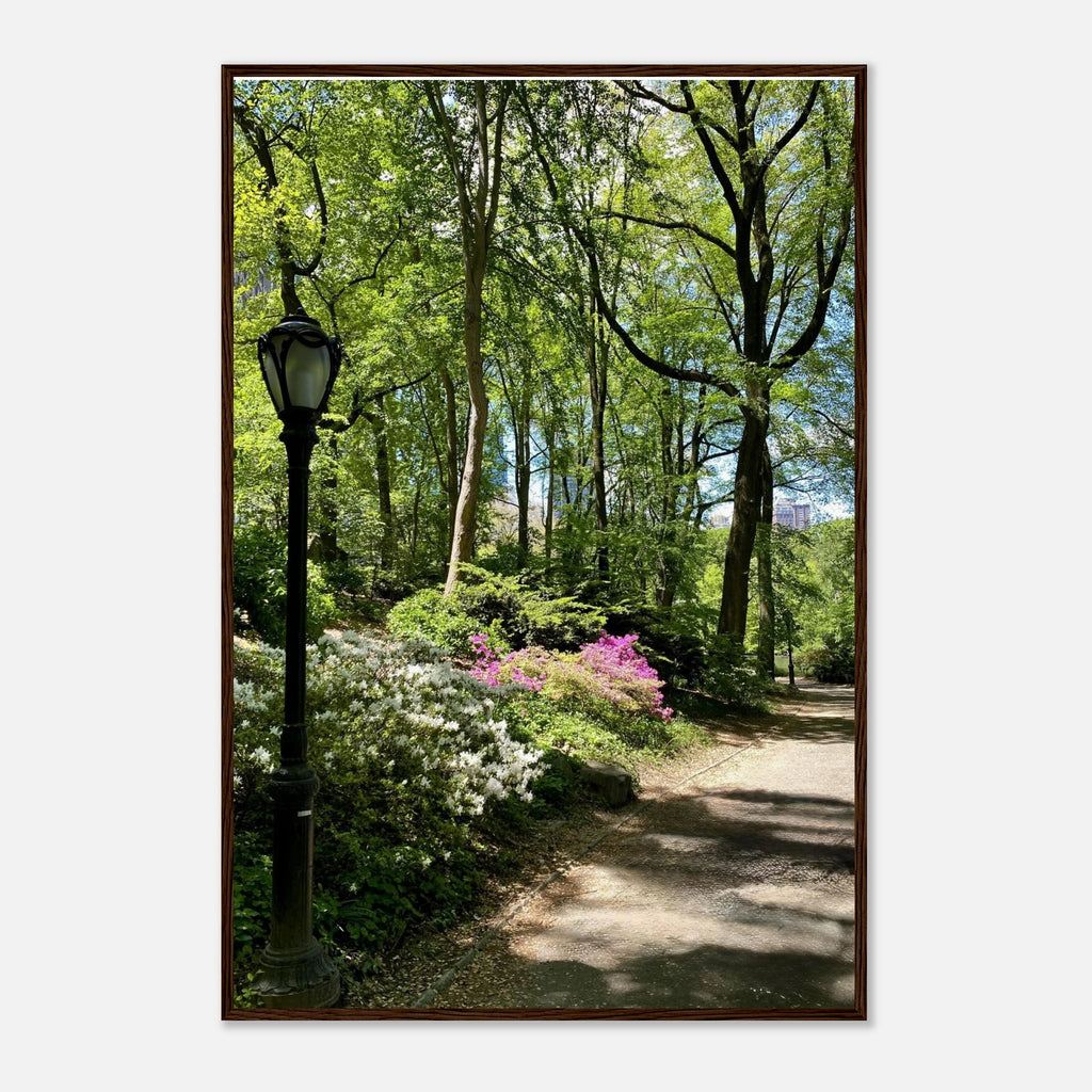 Central Park walkway framed art print on premium matte paper with wooden frame, part of the Studio Edition travel collection.