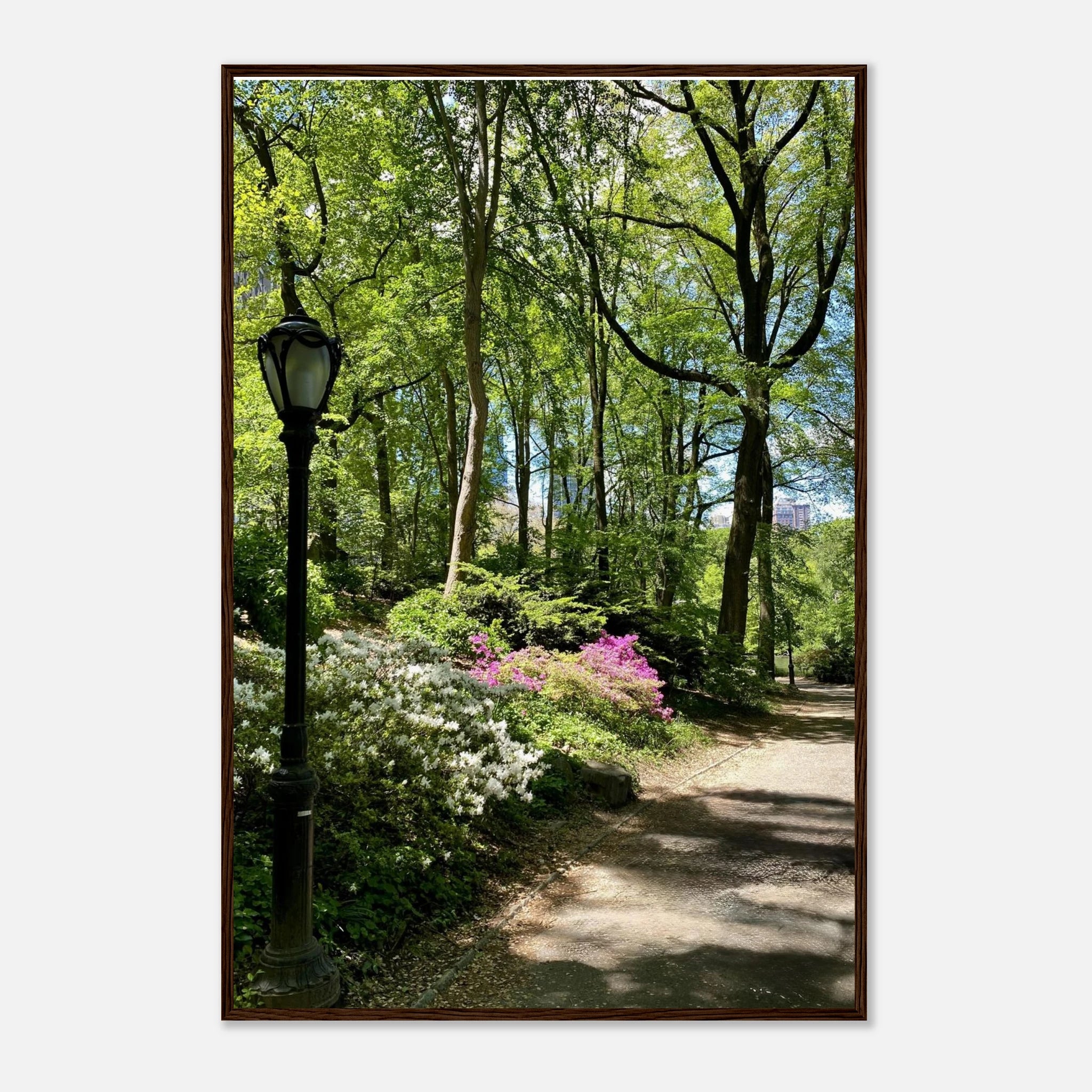 Central Park walkway framed art print on premium matte paper with wooden frame, part of the Studio Edition travel collection.