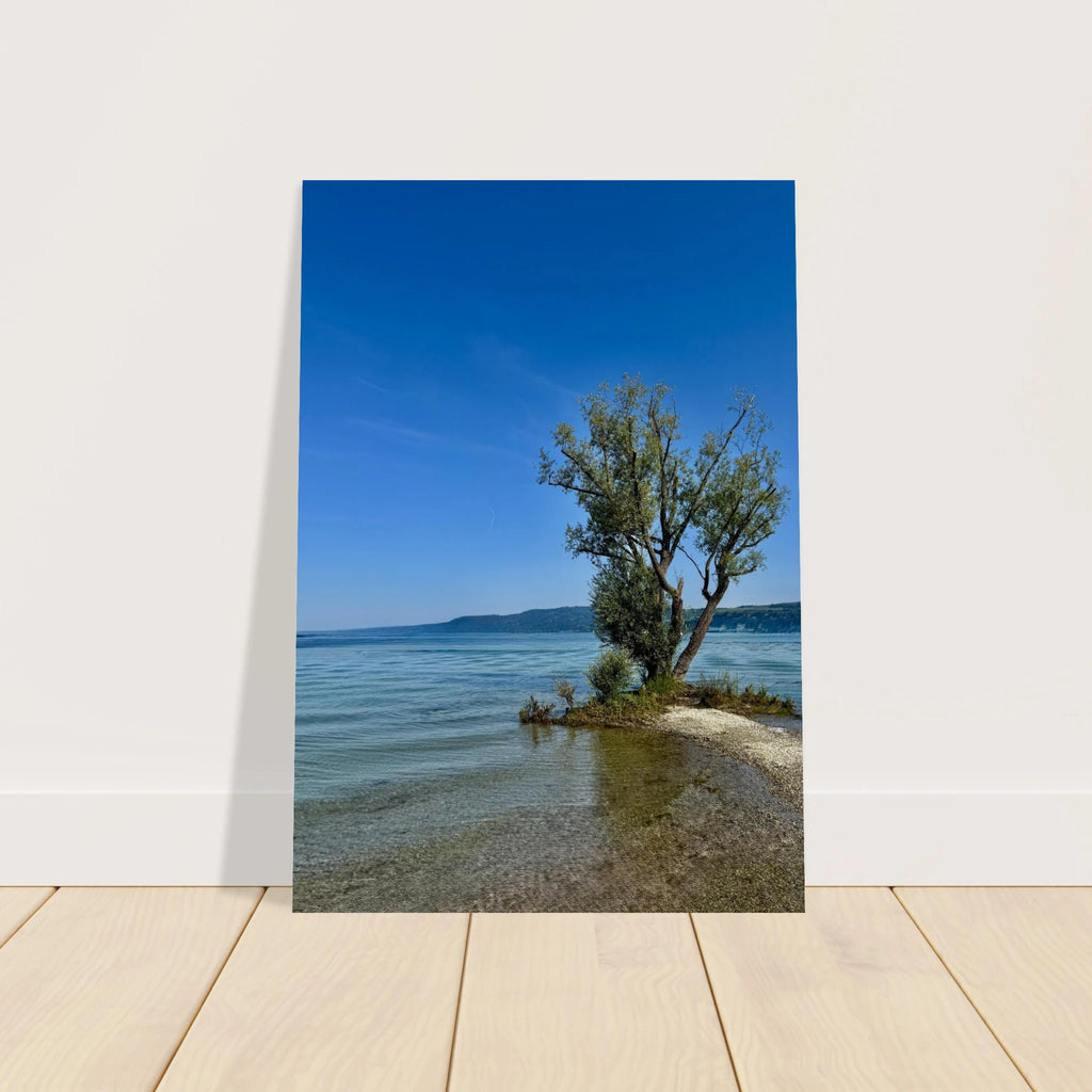 Aluminum print of majestic tree on a European lake, nature-inspired wall art from the Travel Collection, Studio Edition by My Store.