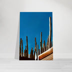 Mexico cactus family rooftop canvas artwork print from My Store's Spring 2026 travel collection, showcasing desert plants in vibrant colors.