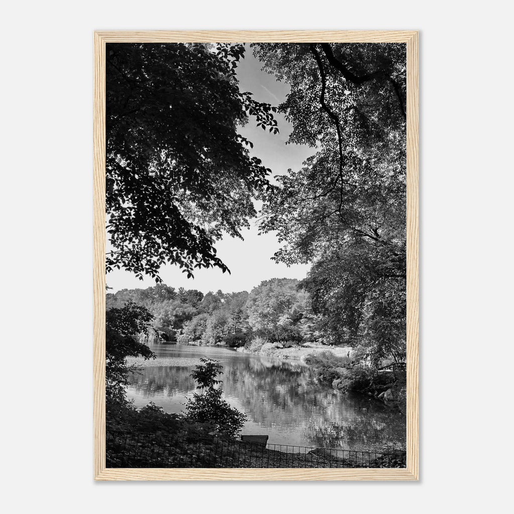Black and white framed print of Upstate NY summer lake scene from My Store's travel collection, studio edition wall art.
