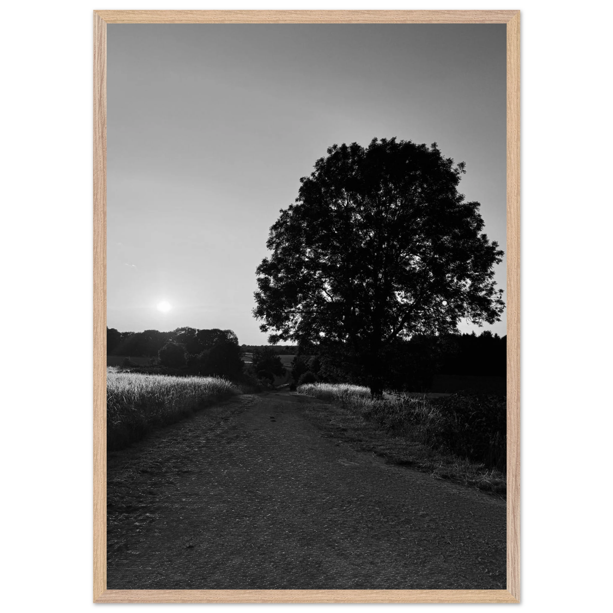 Mounted wooden framed poster of summer in the English Cotswolds, black and white travel print from the Studio Edition collection.
