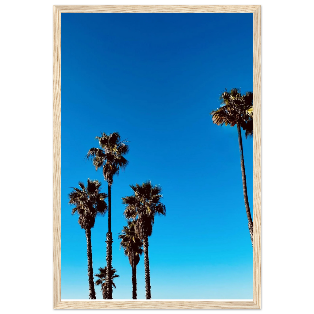 Santa Barbara Palm Tree art poster by CaliCuration, California-themed home decor with a wooden frame and semi-glossy finish.