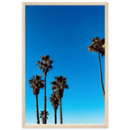 Santa Barbara Palm Tree art poster by CaliCuration, California-themed home decor with a wooden frame and semi-glossy finish.