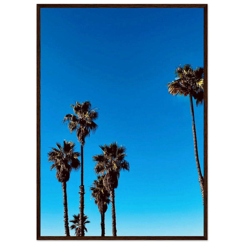CaliCuration Santa Barbara Palm Tree Magic wooden framed poster, California-themed home decor, semi-glossy paper, Studio Edition Spring '26