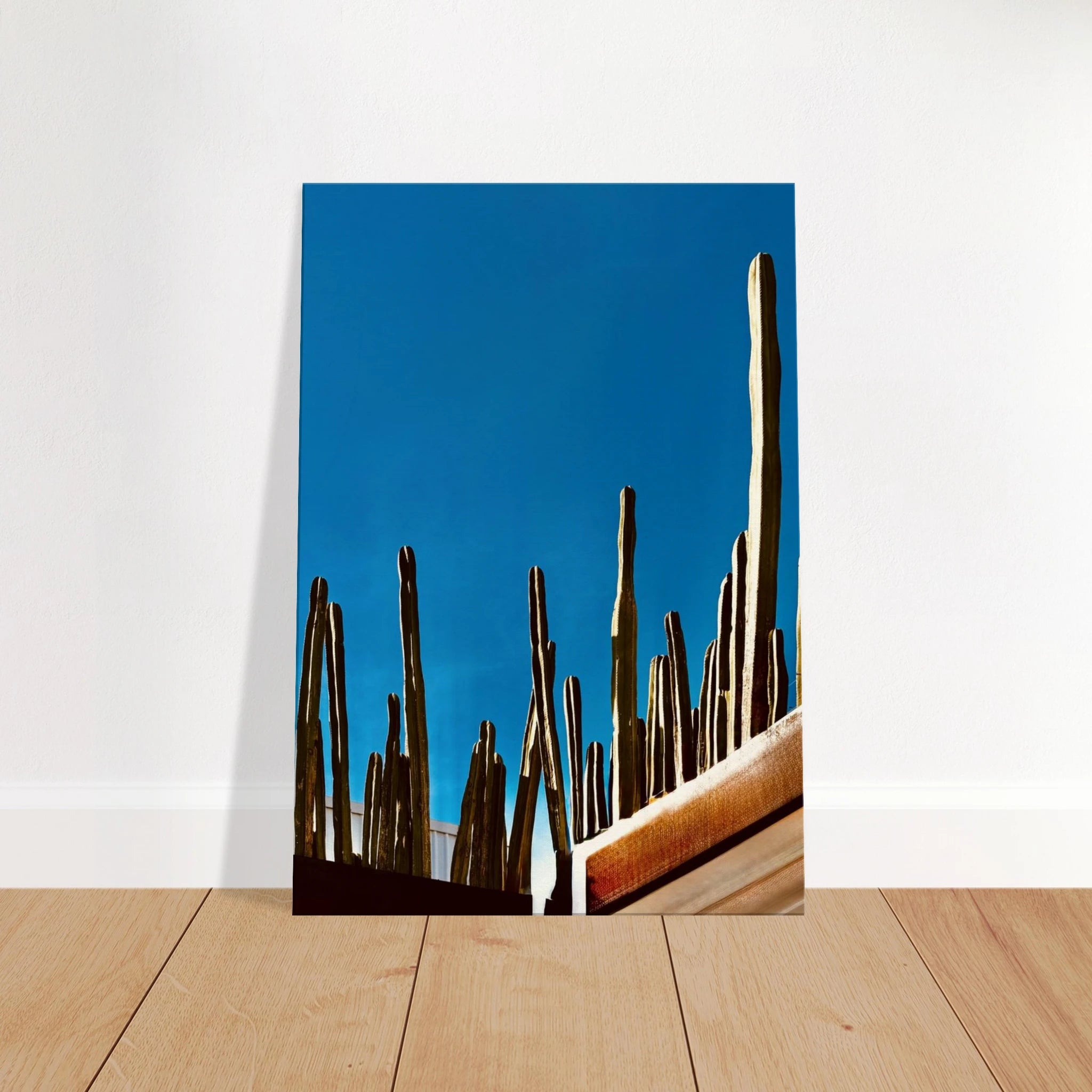 Canvas print of Mexico cactus family on rooftop, featuring vibrant desert plants in a travel-themed artwork from My Store.