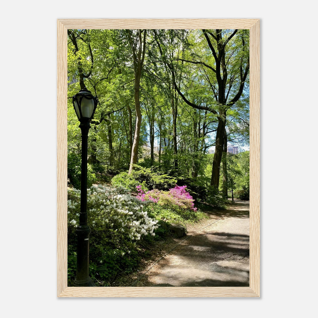 Framed print of Central Park walkway, serene New York City wall art, showcasing a peaceful park scene with trees and pathway.