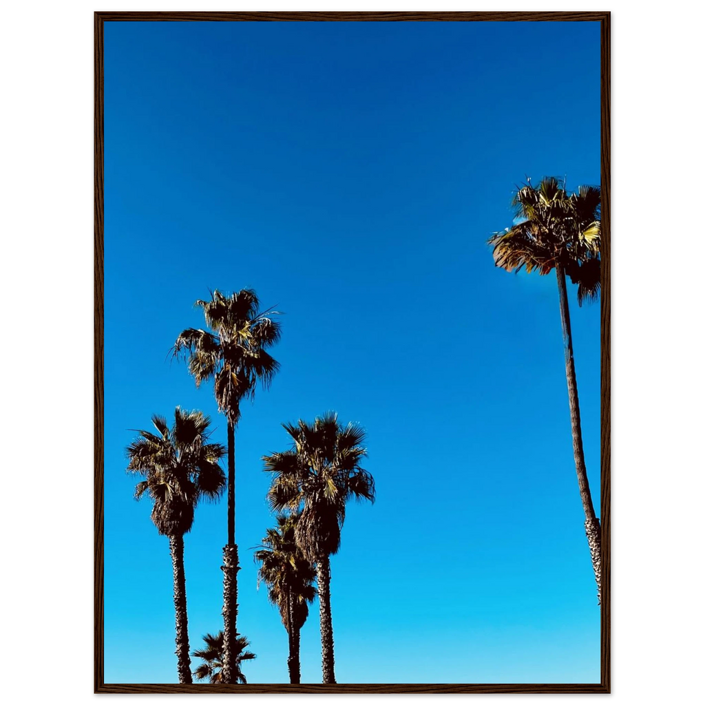 CaliCuration Santa Barbara Palm Tree Magic poster, framed wooden art print, California-themed home decor, spring 2026 studio edition