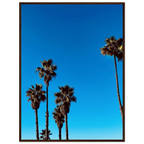 CaliCuration Santa Barbara Palm Tree Magic poster, framed wooden art print, California-themed home decor, spring 2026 studio edition
