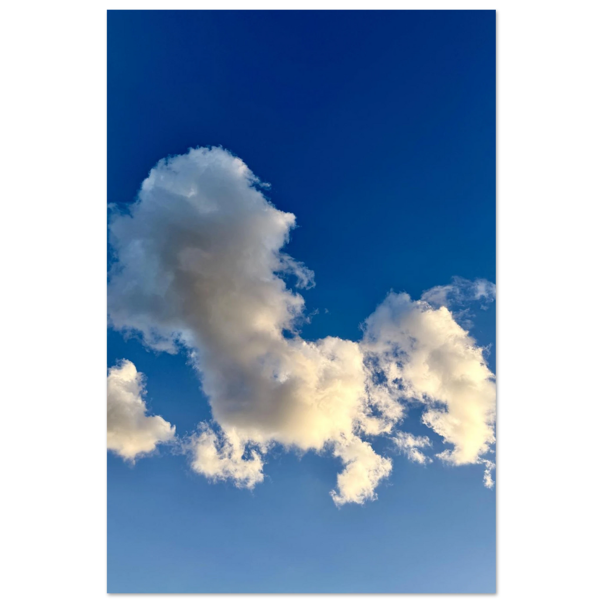 c2b13e81-9a80-4132-8dde-1ede663e3382