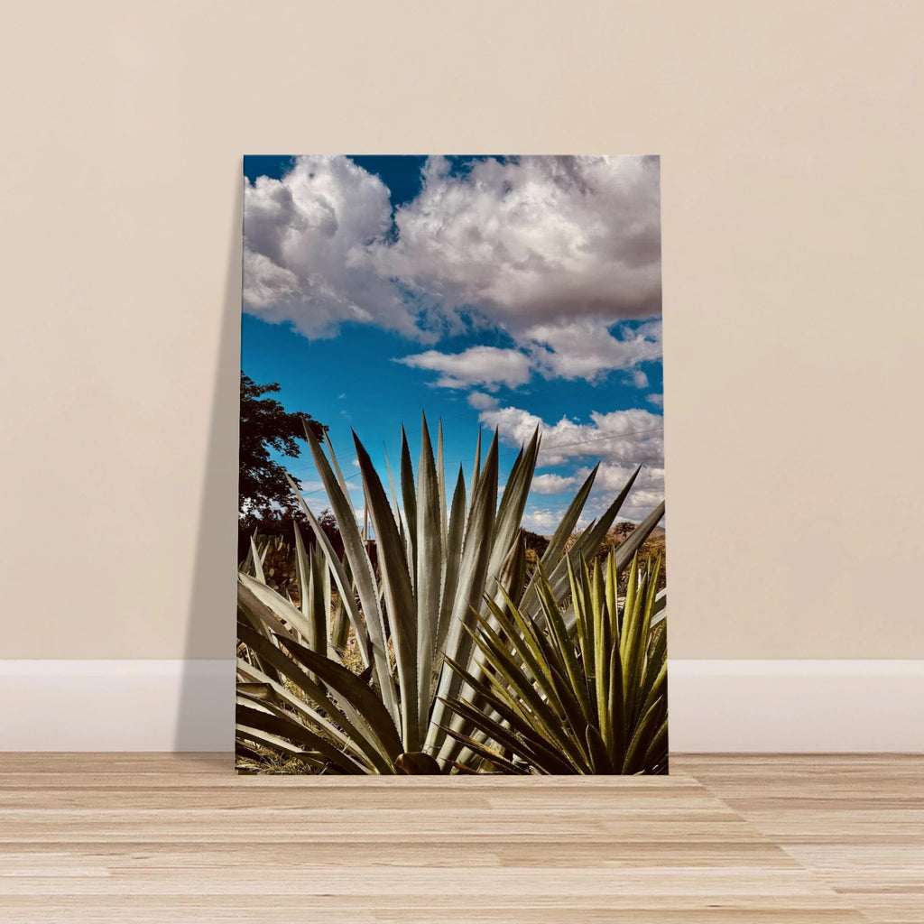 Canvas artwork of Oaxaca desert mezcal plantation, showcasing vibrant colors and travel-inspired design by My Store.