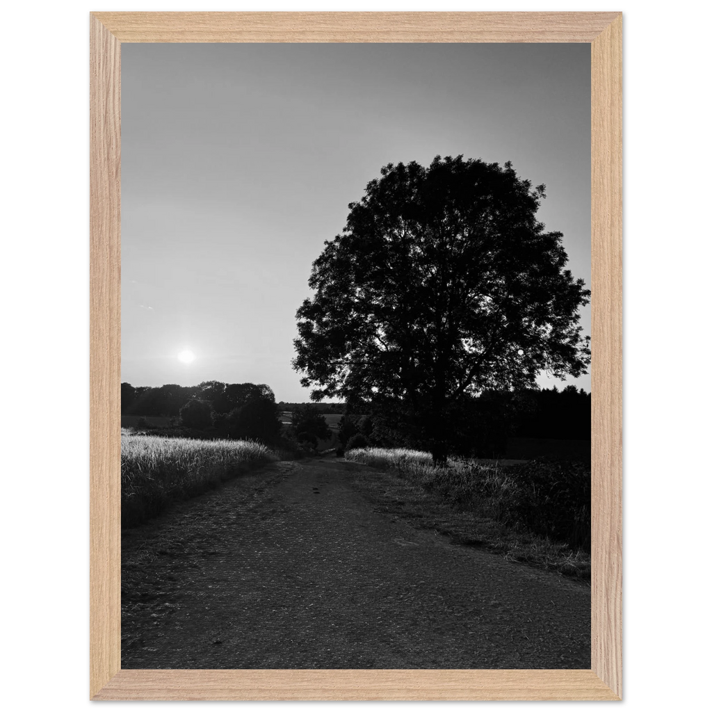 Mounted wooden framed poster of a black and white summer scene in the English Cotswolds, part of the travel collection print.