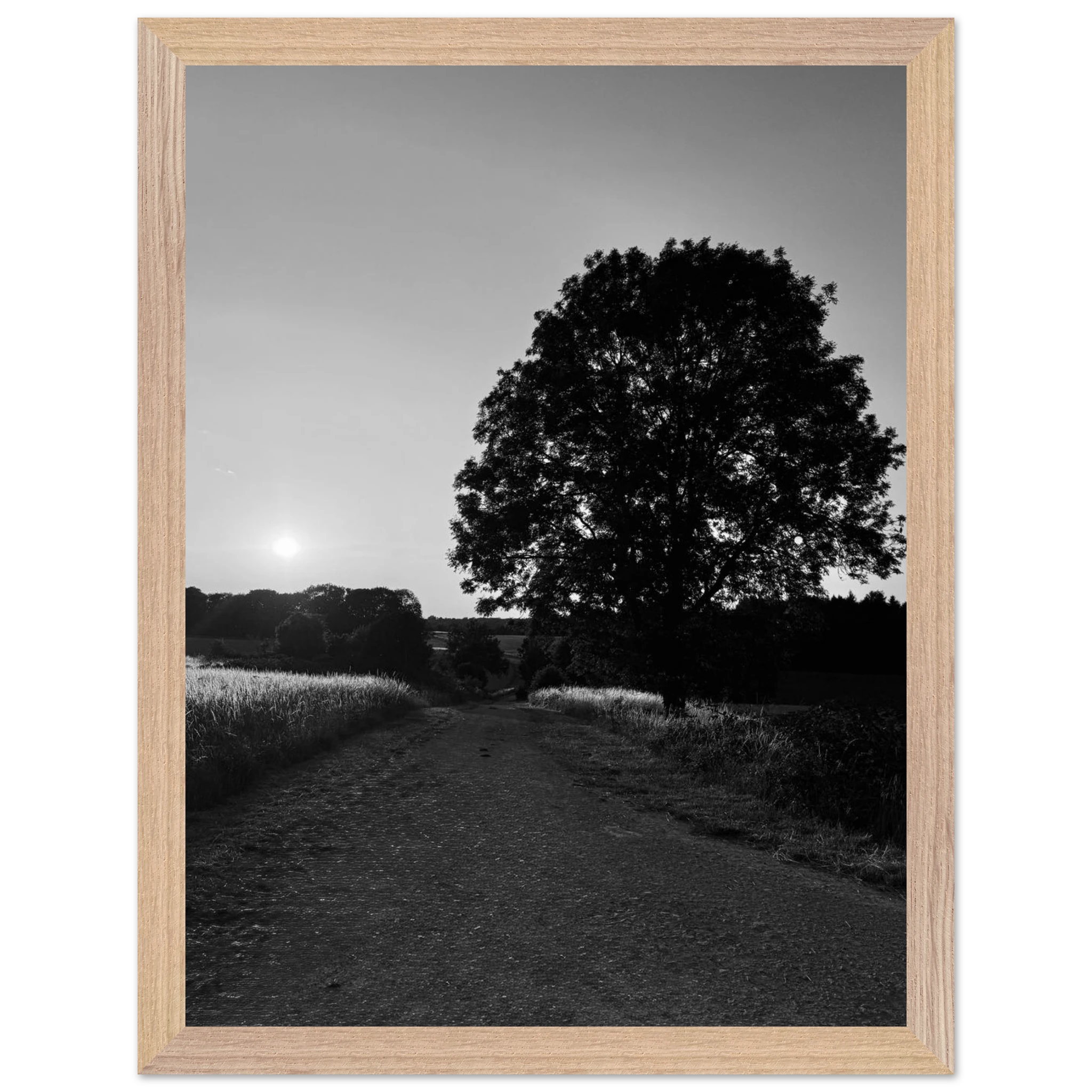 Mounted wooden framed poster of a black and white summer scene in the English Cotswolds, part of the travel collection print.