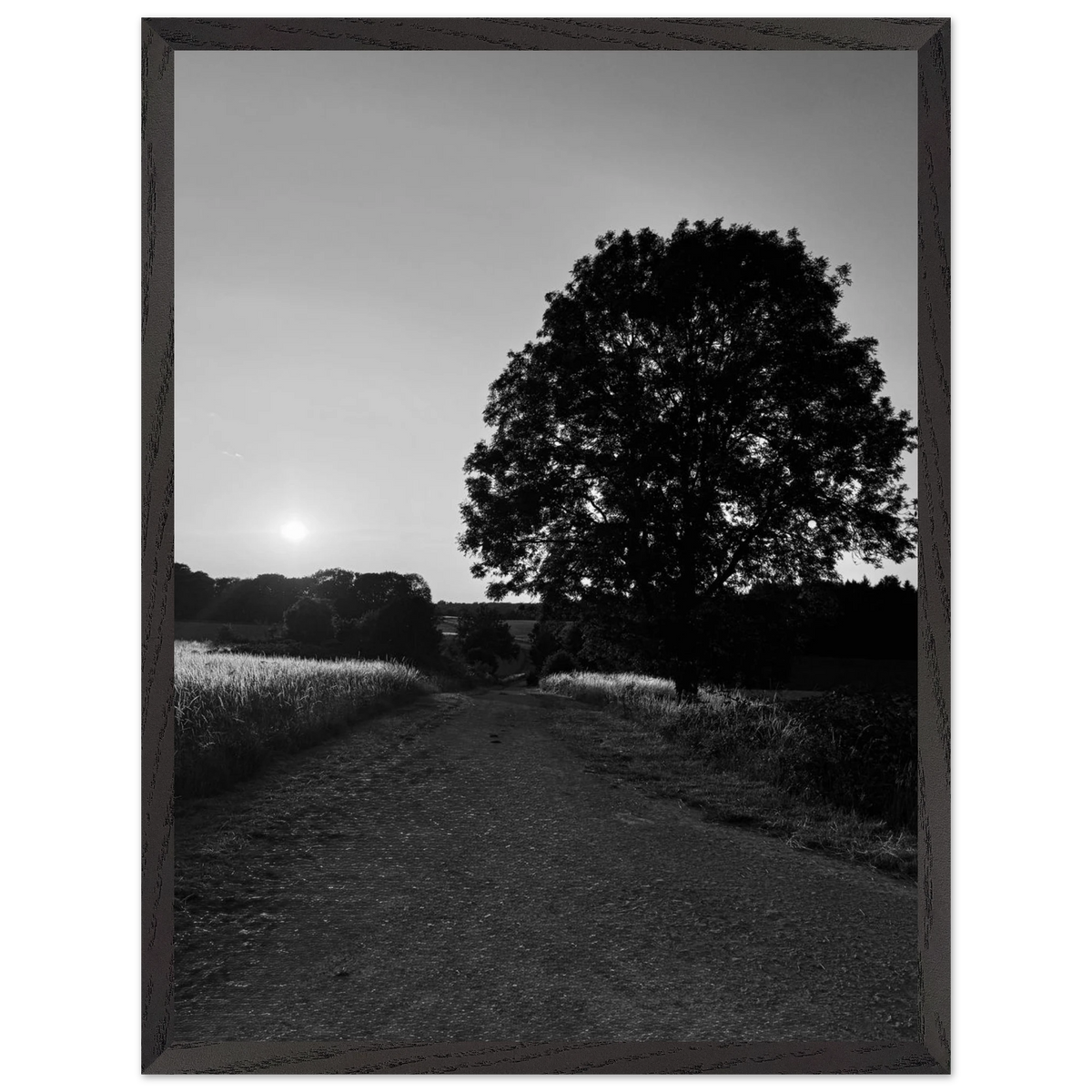 c54f4f59-3ad7-498a-ab72-f79b0b445362