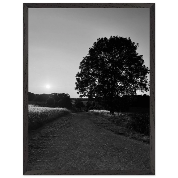 c54f4f59-3ad7-498a-ab72-f79b0b445362