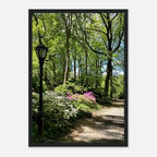 Central Park walkway framed art print on premium matte paper, wooden frame, part of the Studio Edition travel collection.